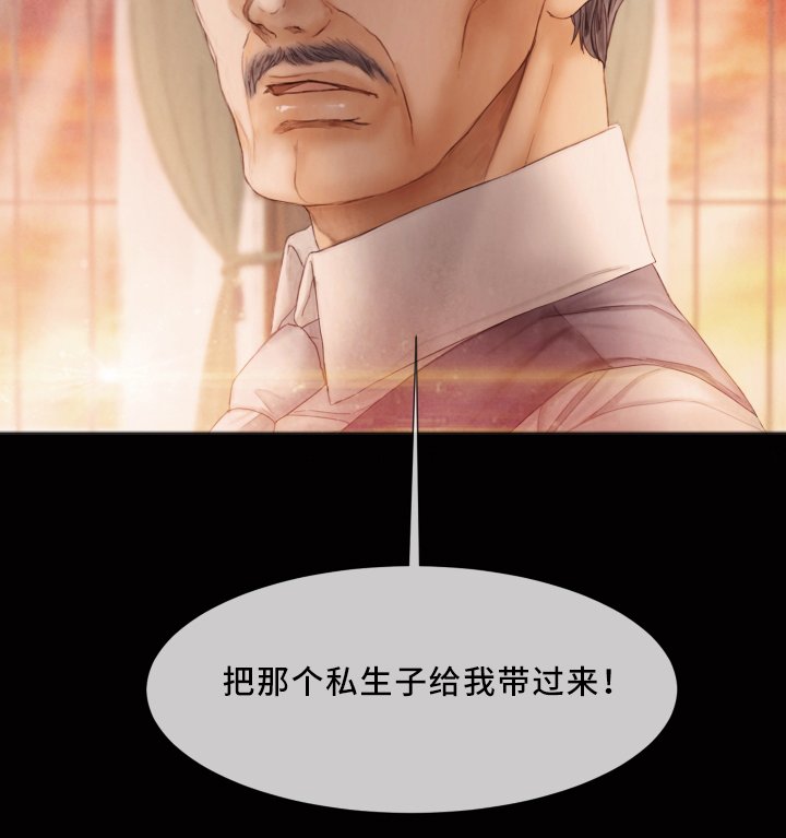 第63章：私生子