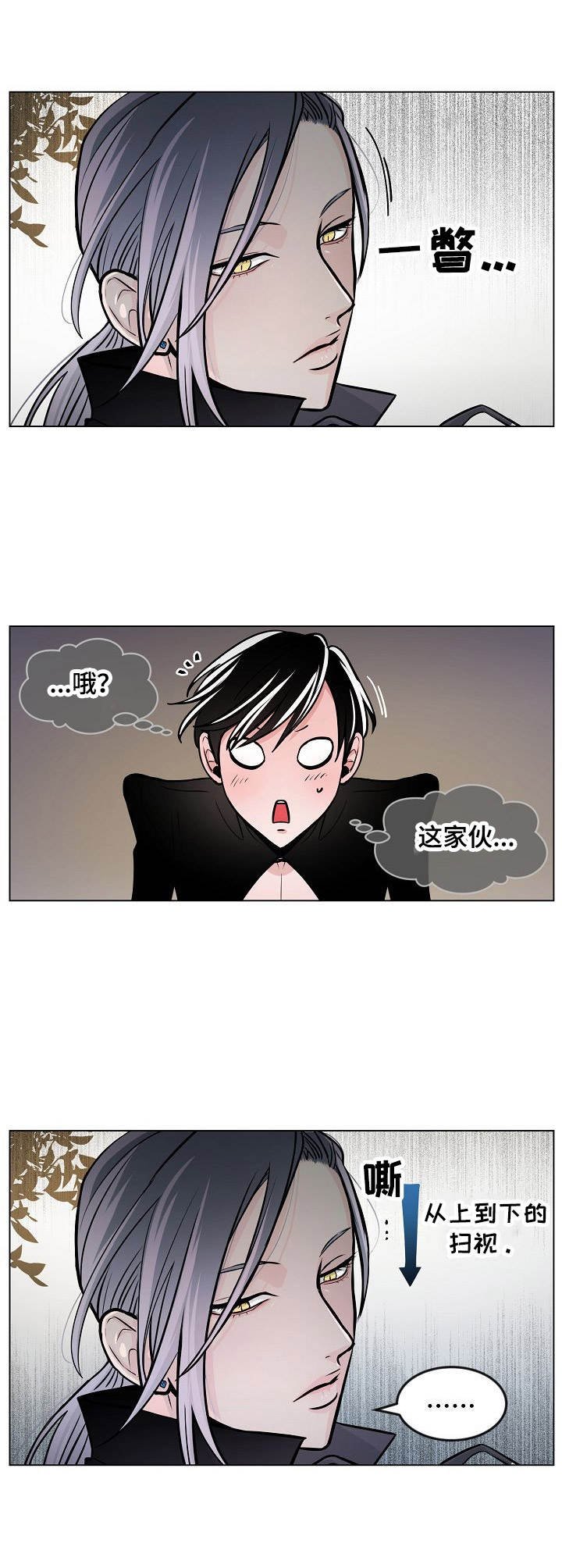 第11章：莽撞