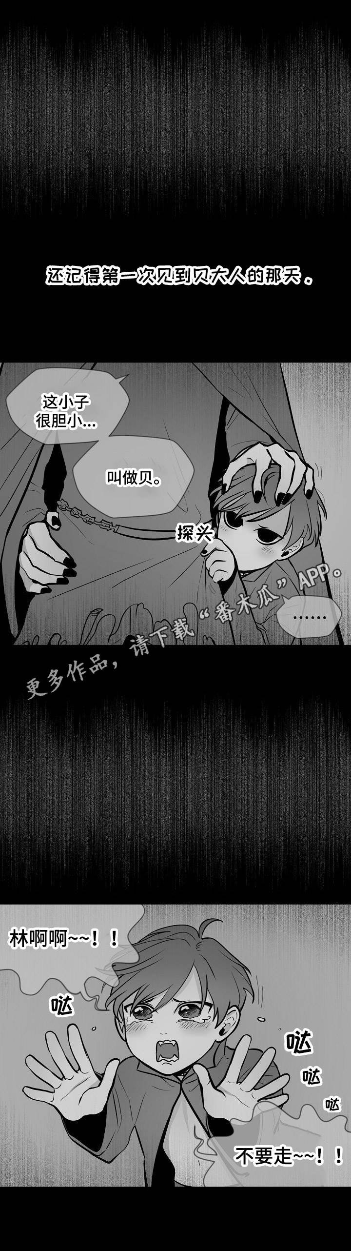 第14章：无力