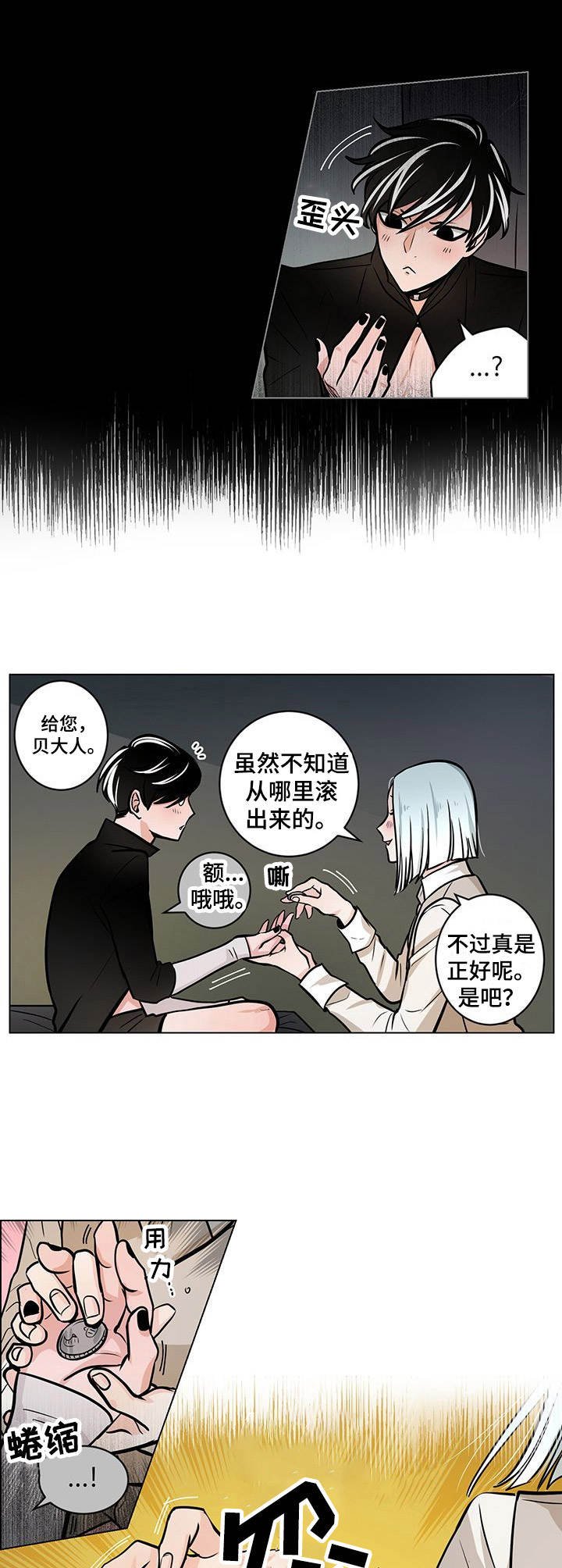 第22章：银币