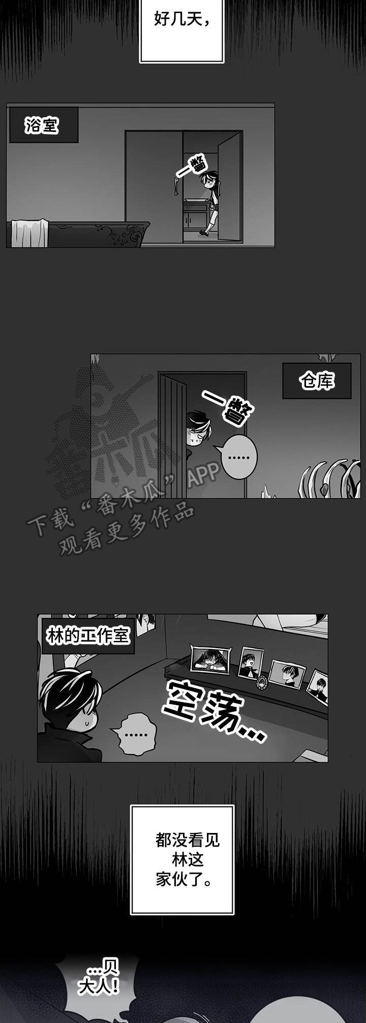 第29章：寻找