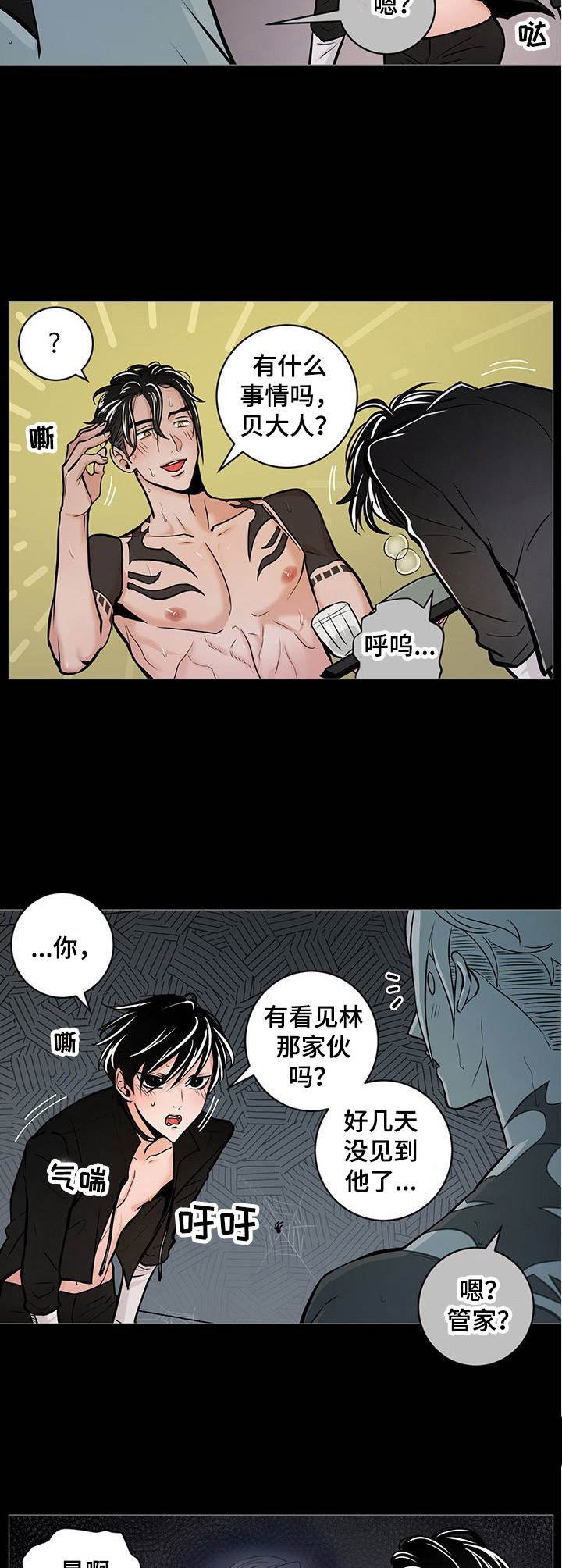 第29章：寻找