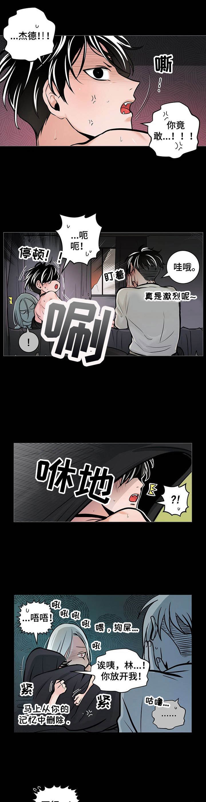 第32章：特别的存在（完结）