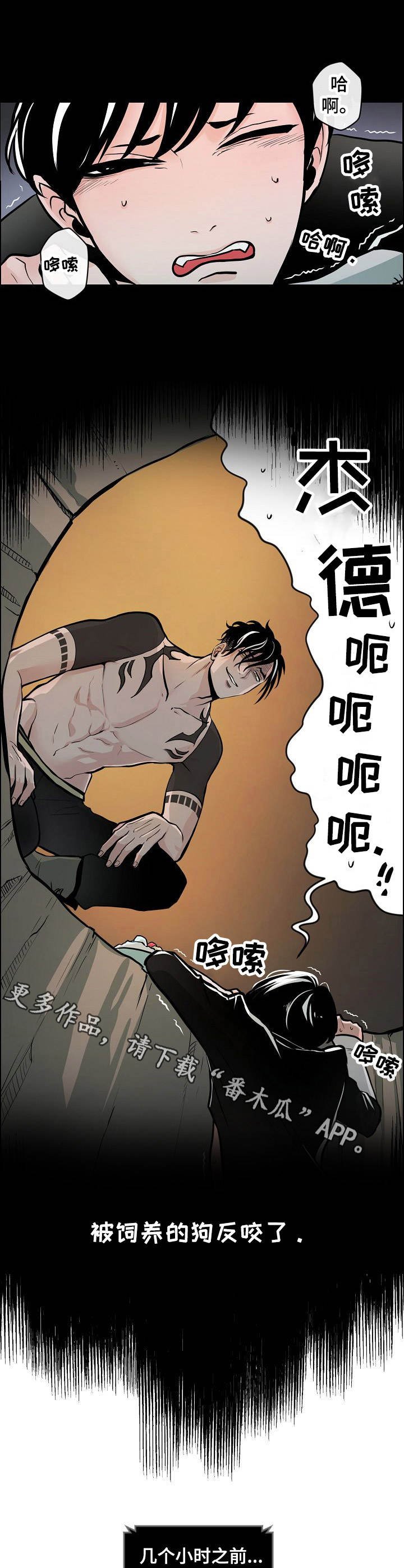 第5章：独自行动