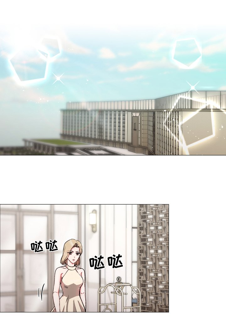第17章：打算