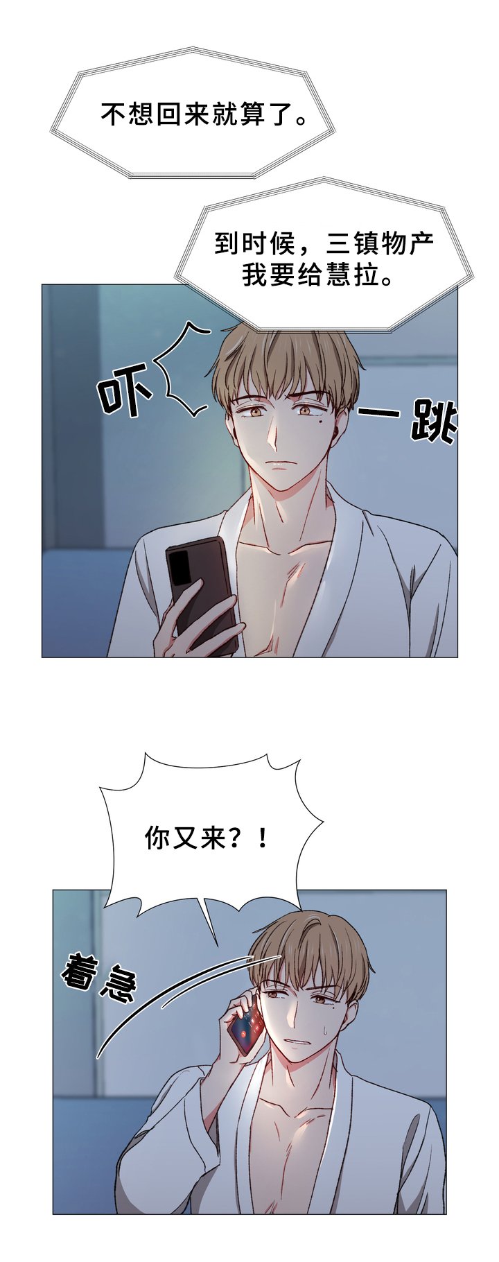 第25章：召回