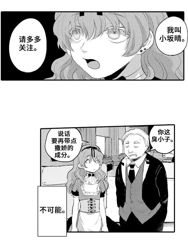 第11章：小晴