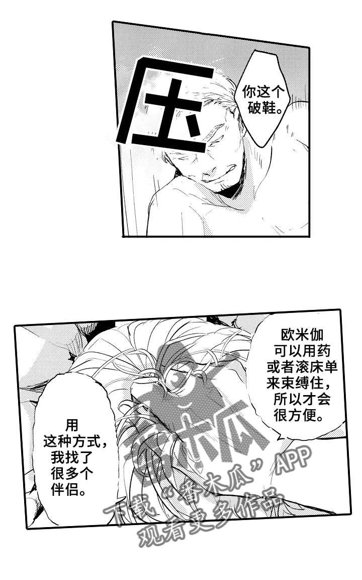 第4章：宠物