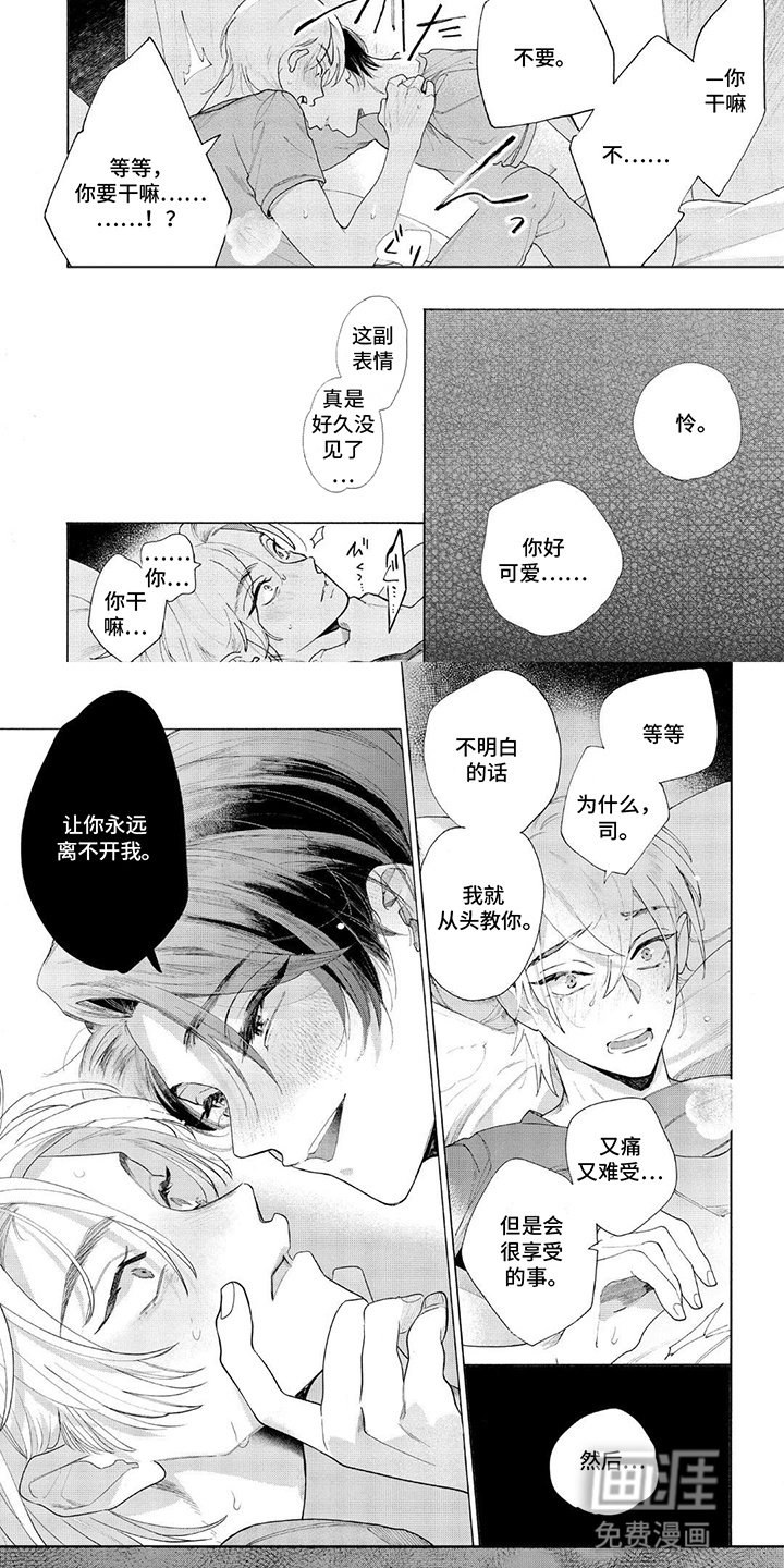 第9章：欺骗