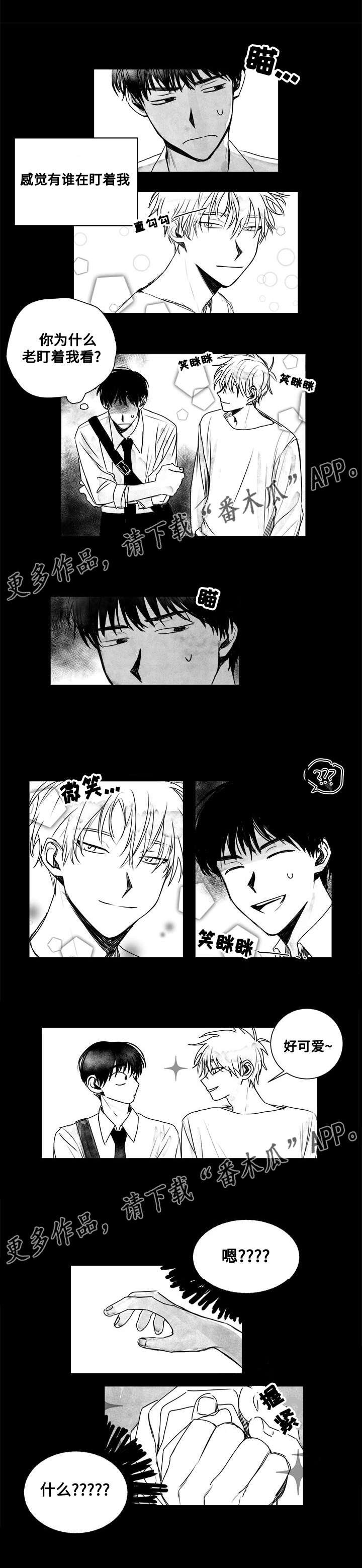 第11章：跟踪者？