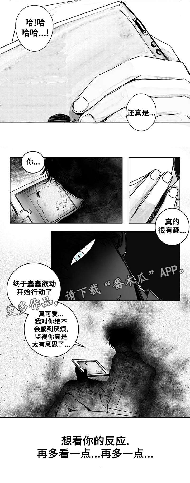 第13章：越发微妙