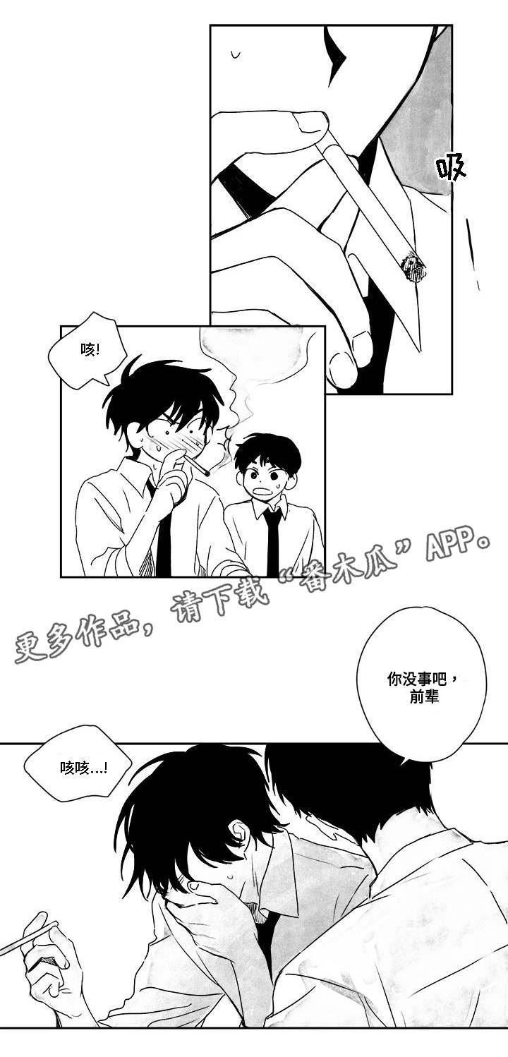 第33章：没事的
