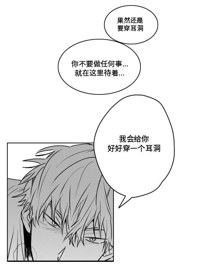 第36章：耳洞