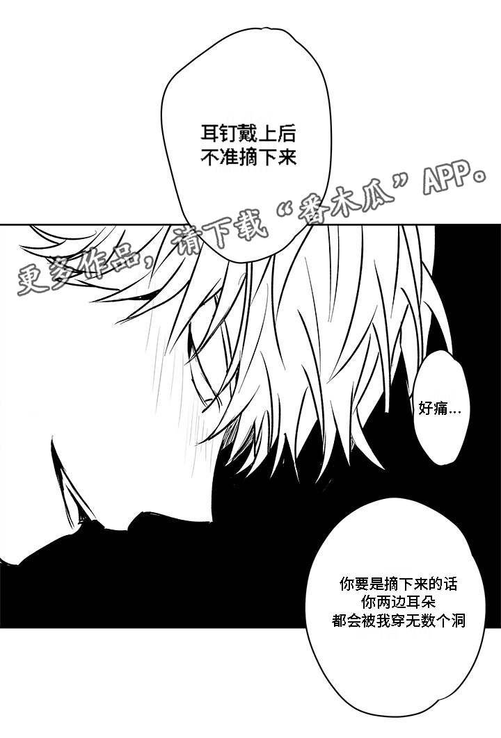 第36章：耳洞