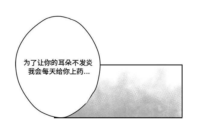 第36章：耳洞