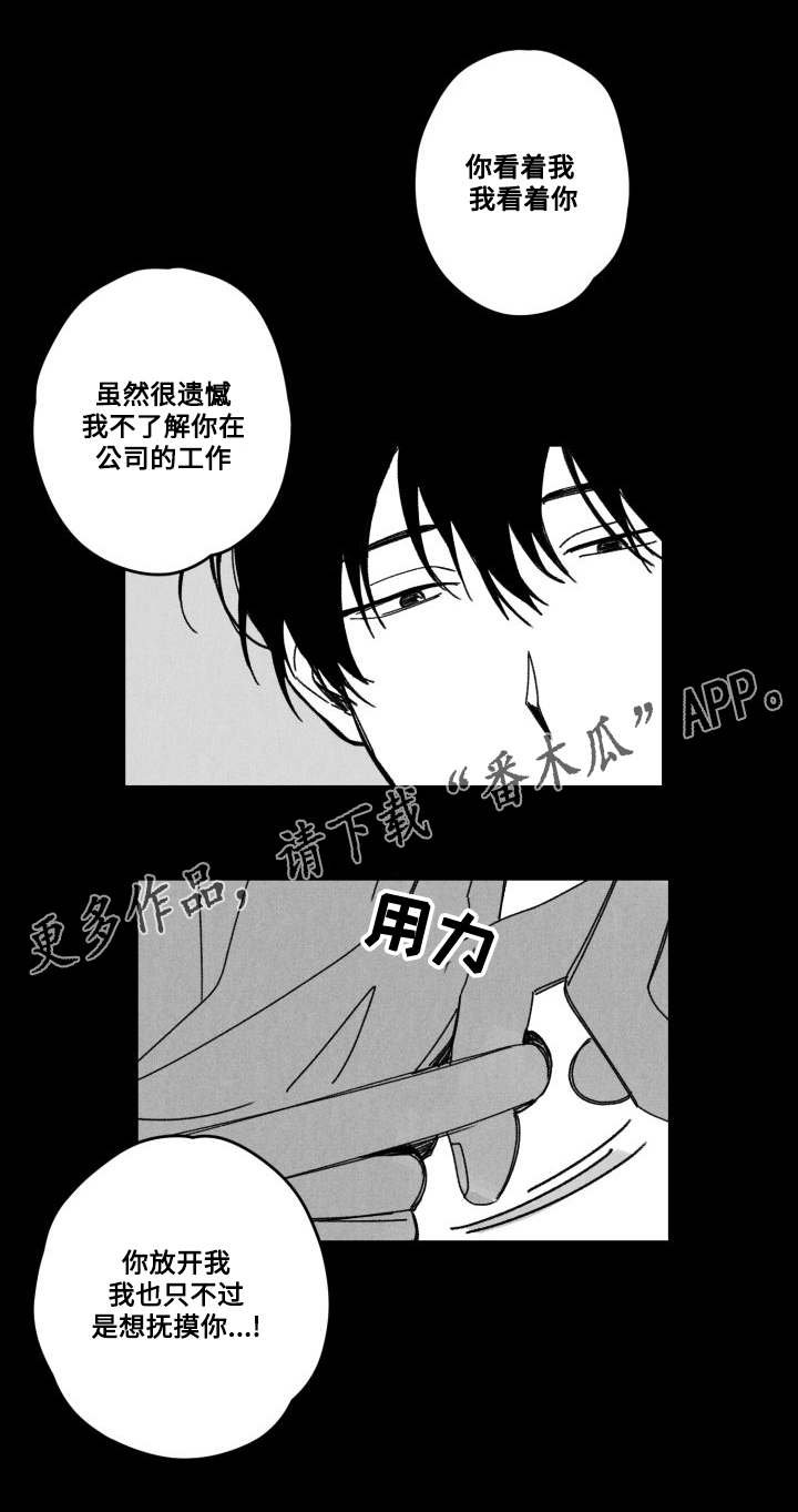 第53章：傻瓜