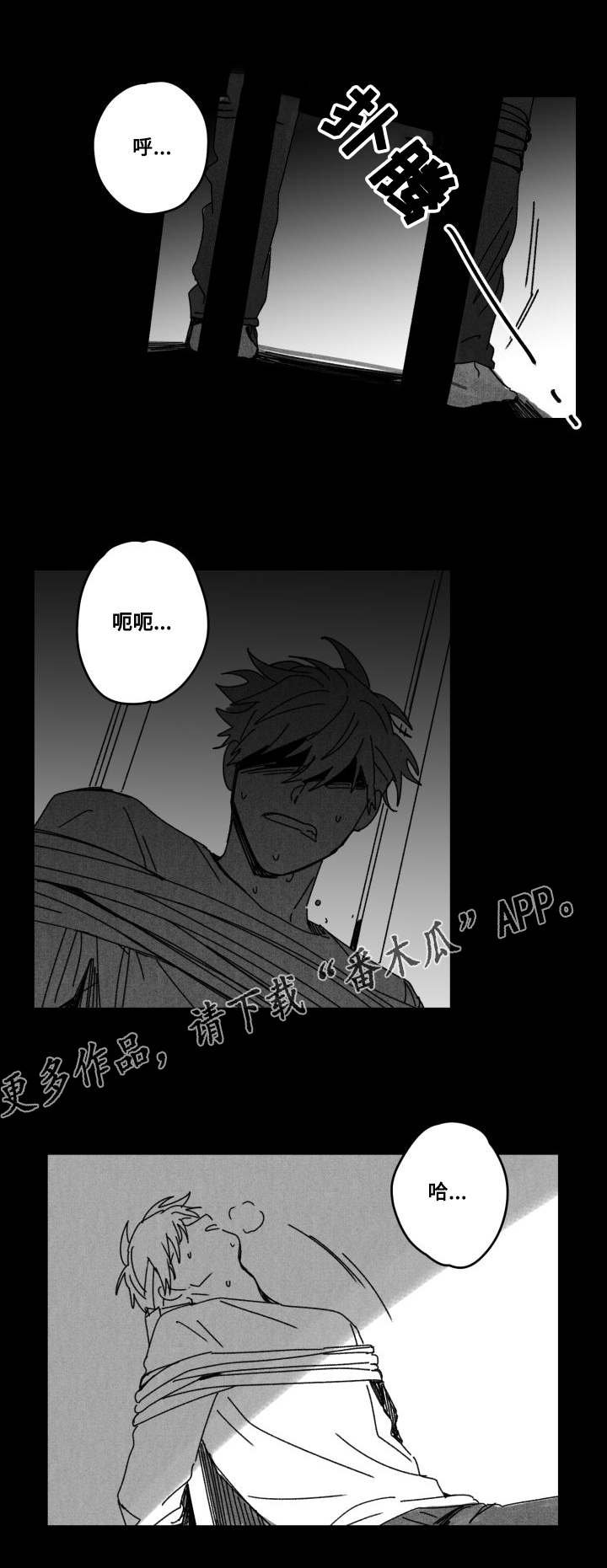 第53章：傻瓜