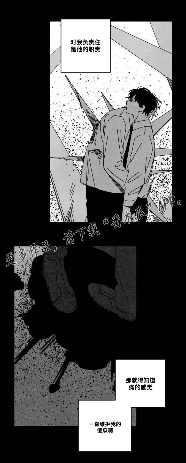 第53章：傻瓜