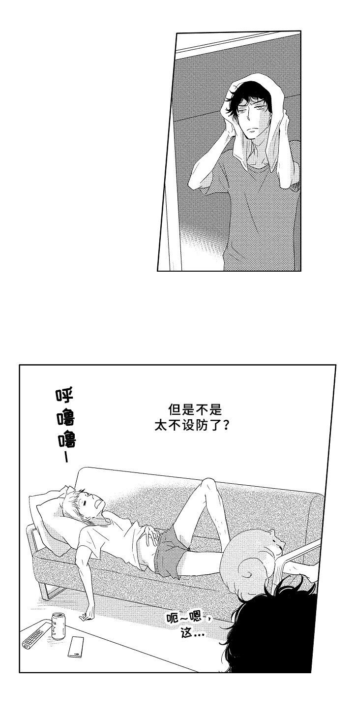 第10章：不设防