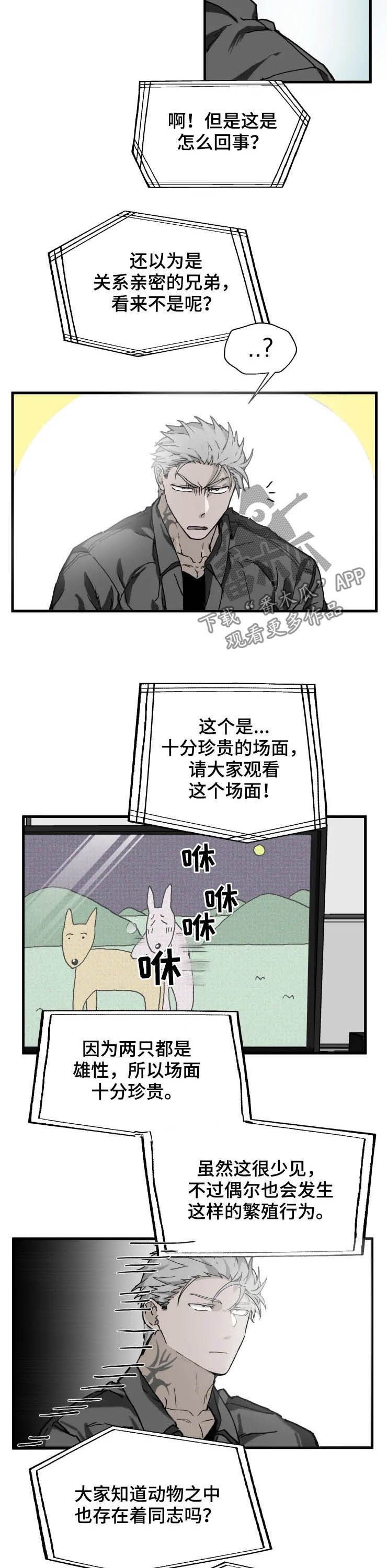 第14章：厌烦