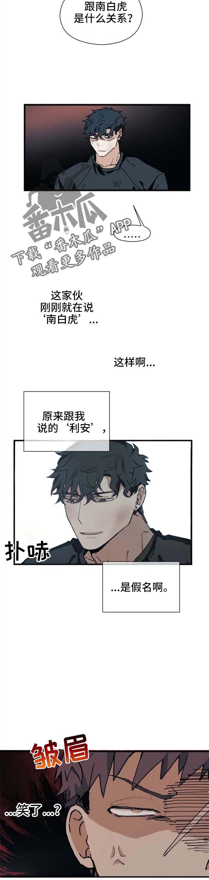 第15章：疯了不成