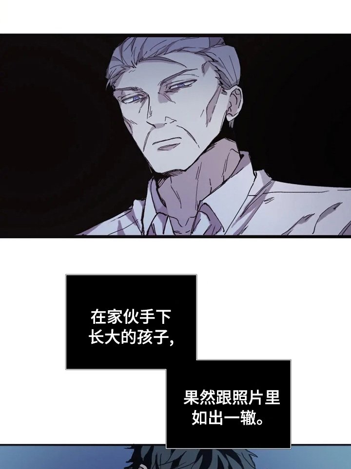 第17章：做点别的