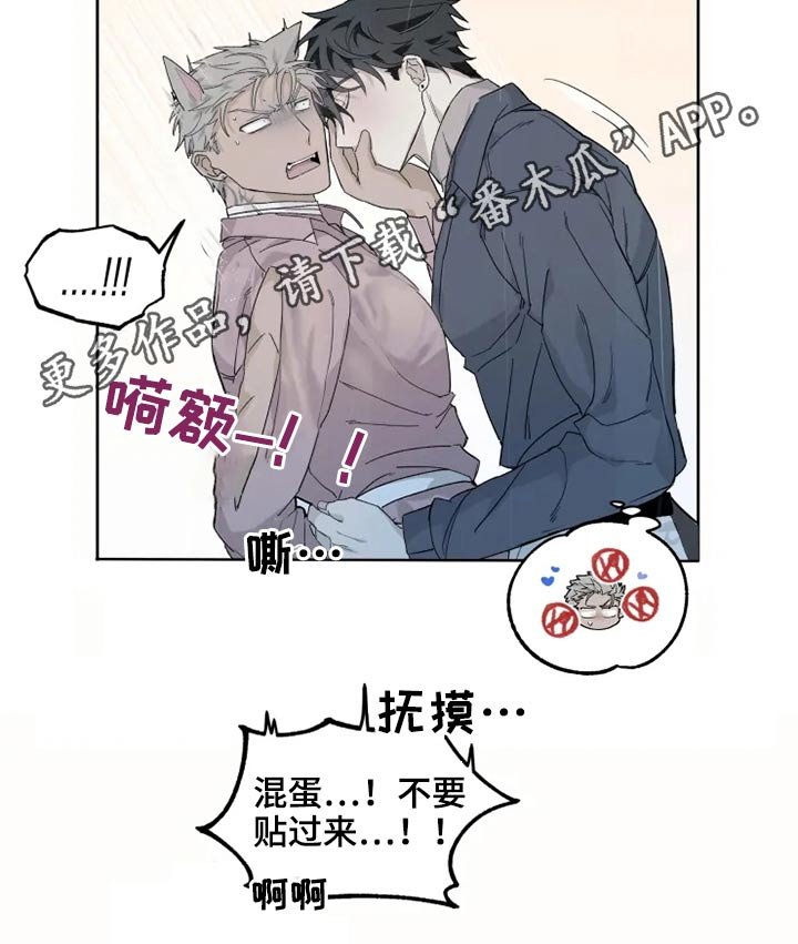 第27章：激动
