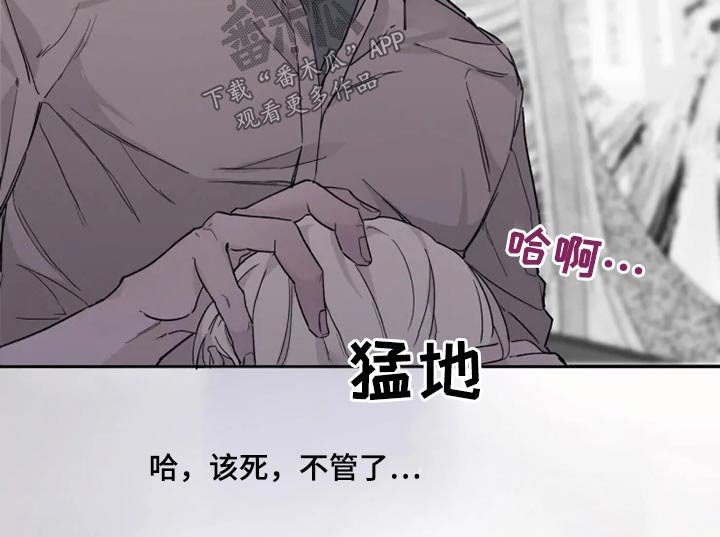 第29章：梦境