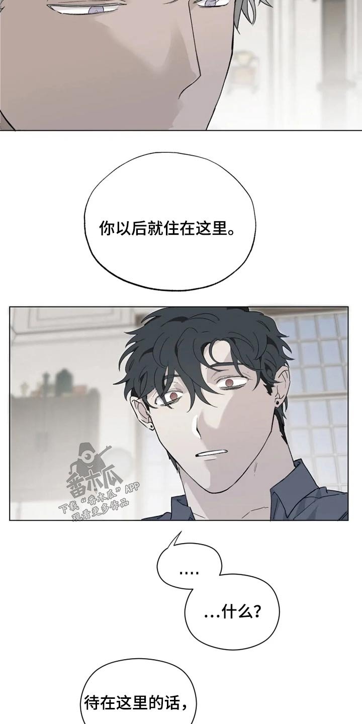 第34章：那是什么