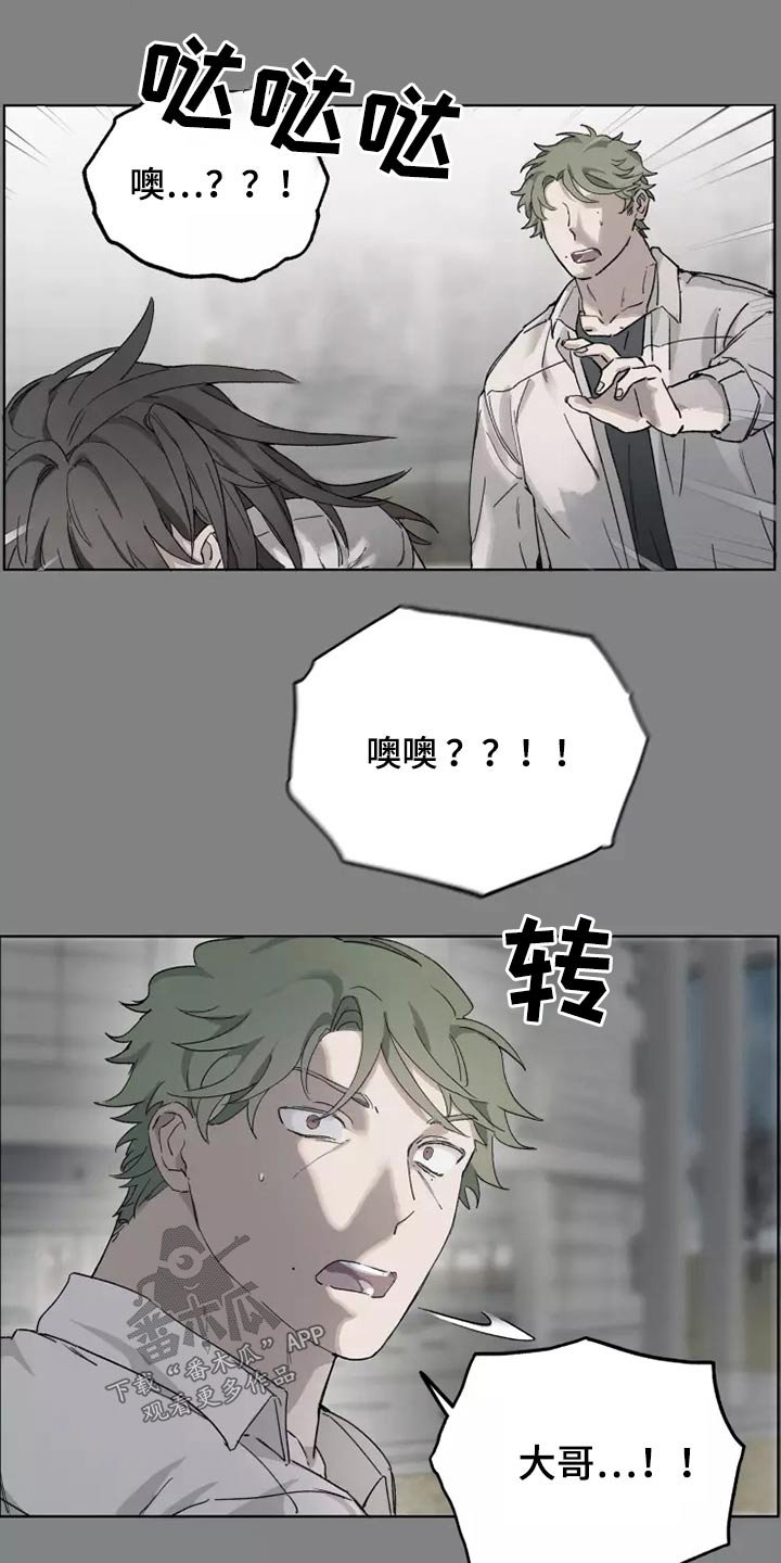 第35章：打开看看