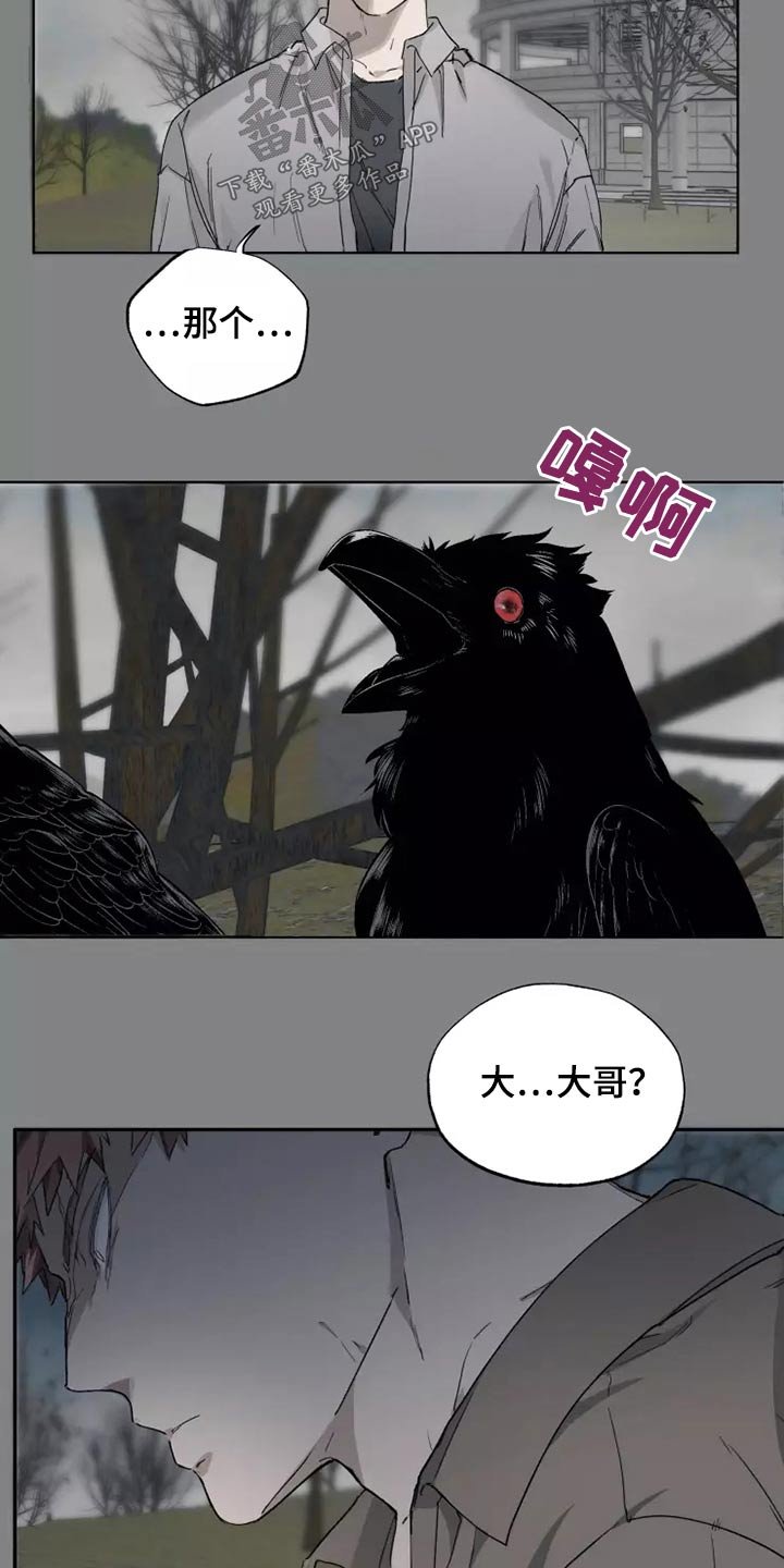 第35章：打开看看