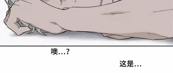 第39章：闯进