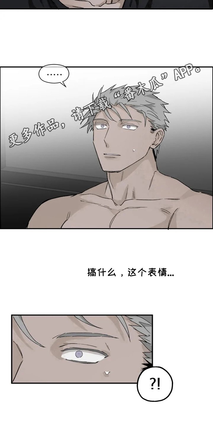 第8章：猜测