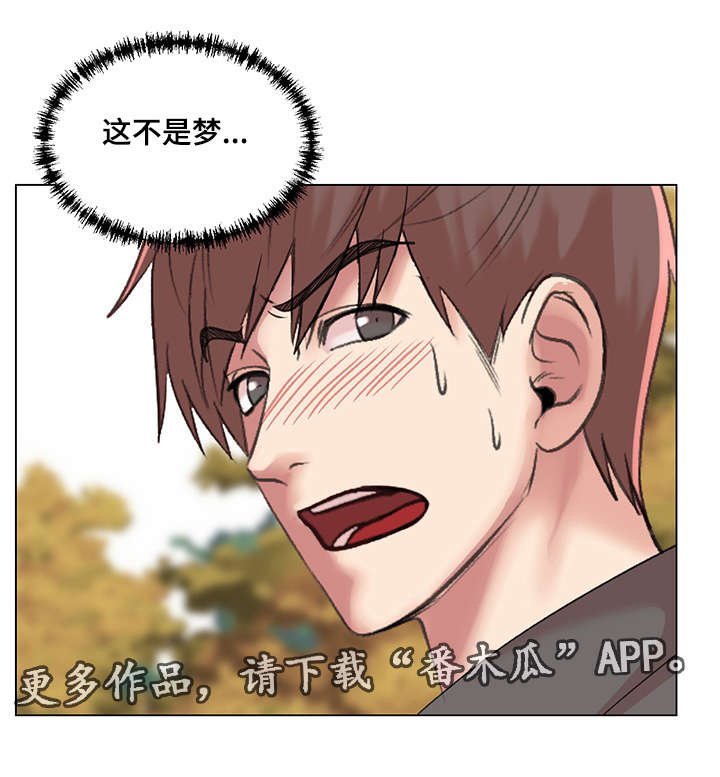 第27章：作战成功