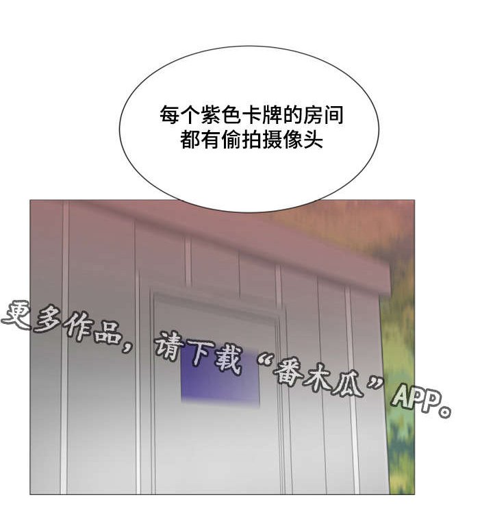 第38章：告白视频