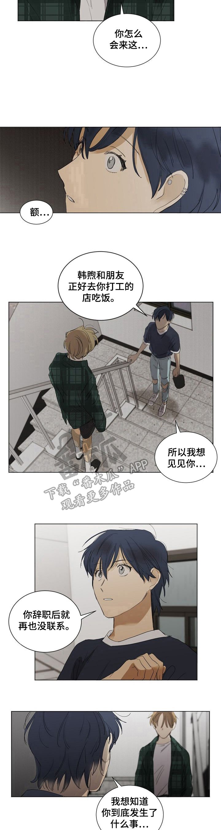 第20章：在意