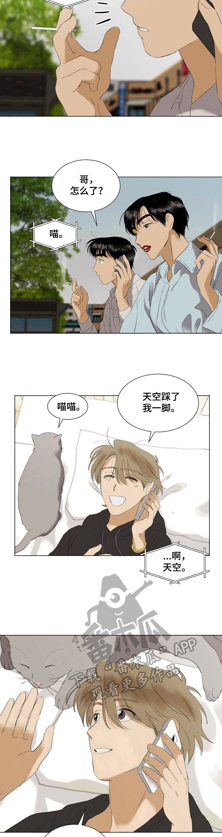 第31章：担心