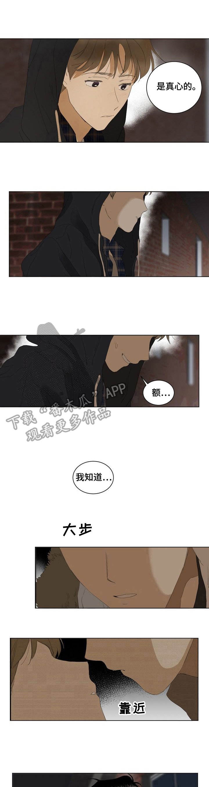 第9章：表白