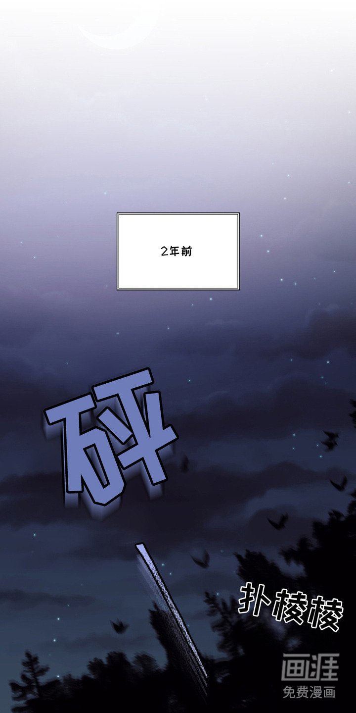 第1章：小狼崽