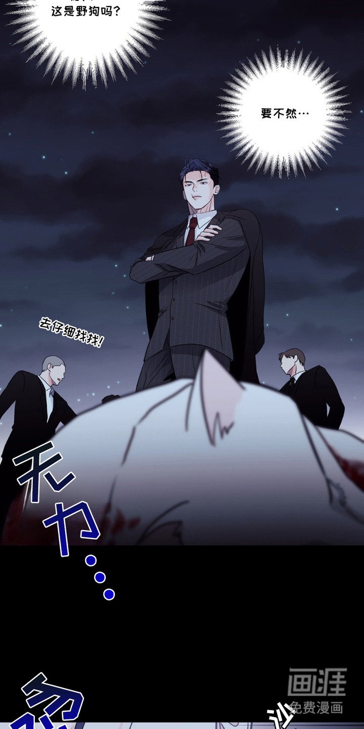 第1章：小狼崽
