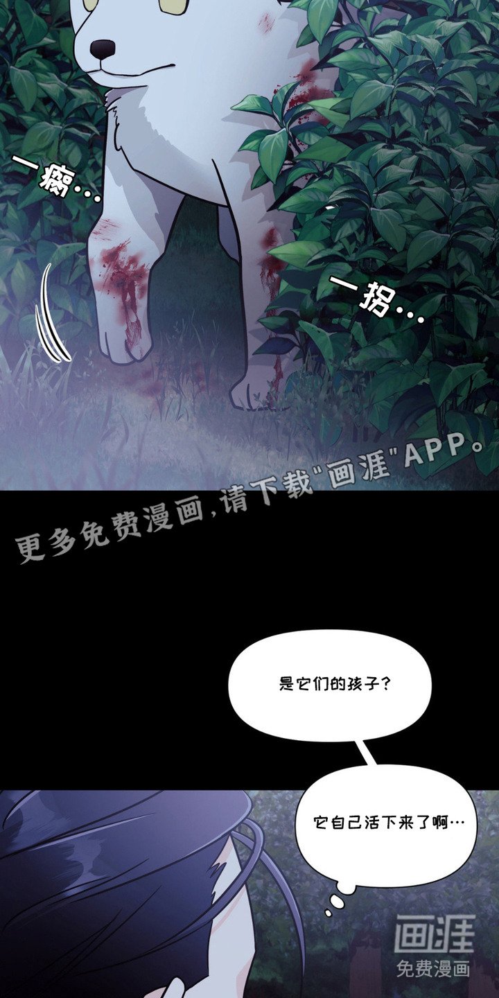 第1章：小狼崽