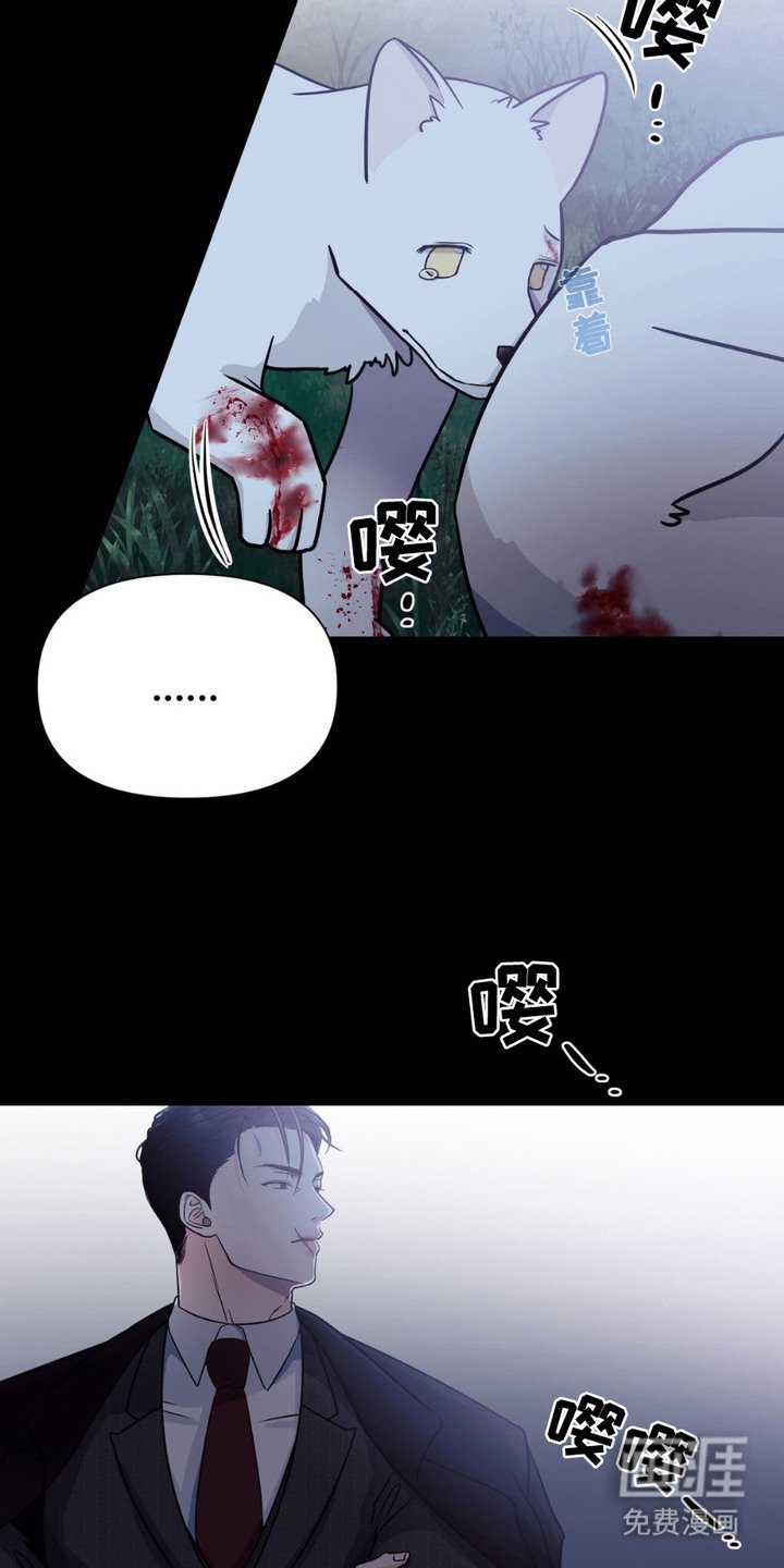 第1章：小狼崽