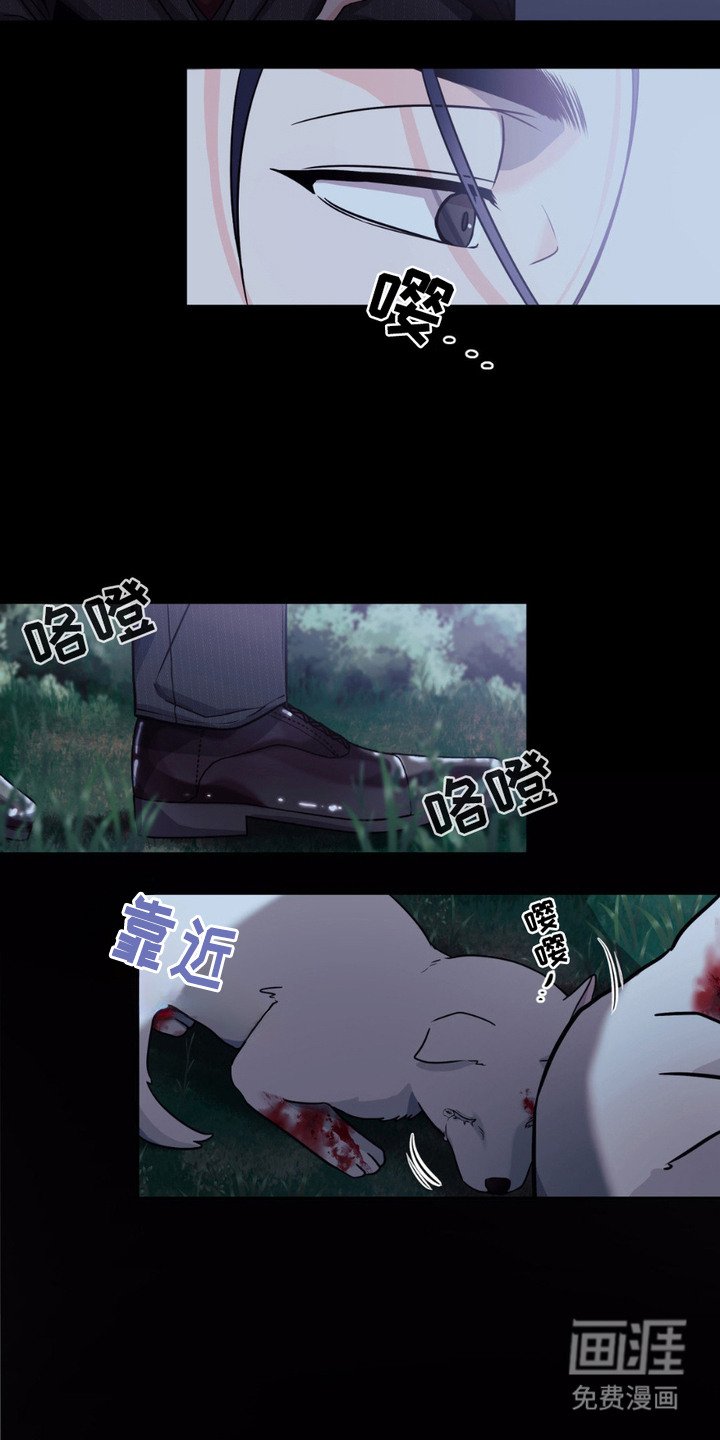 第1章：小狼崽