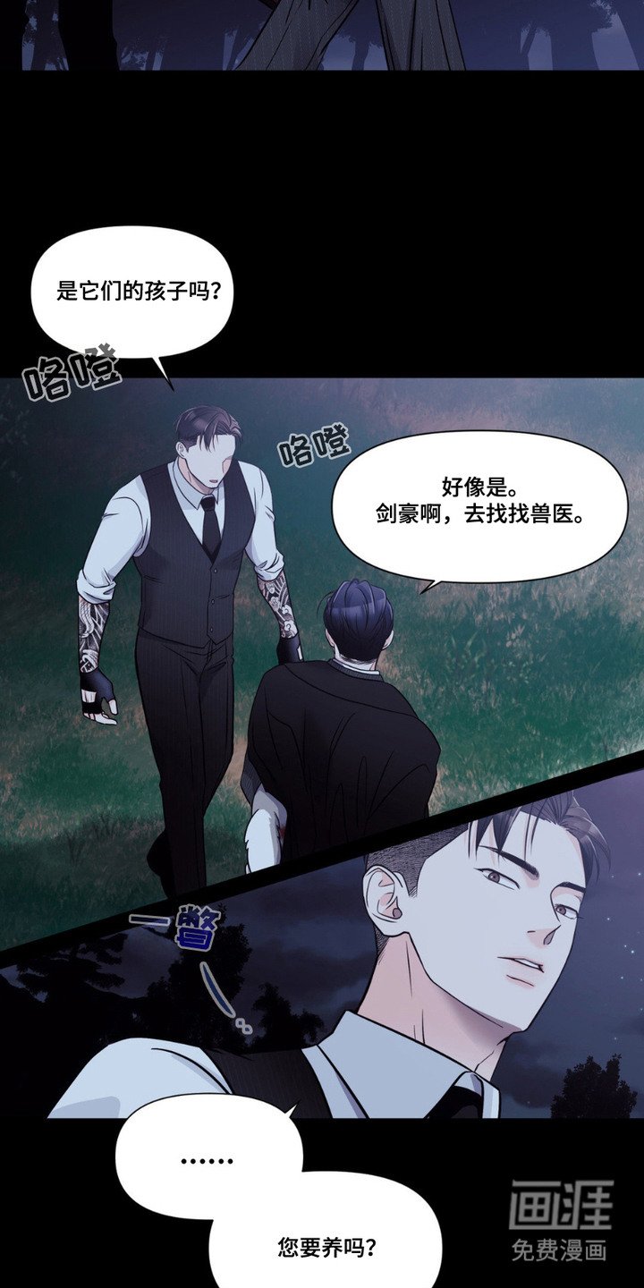 第1章：小狼崽