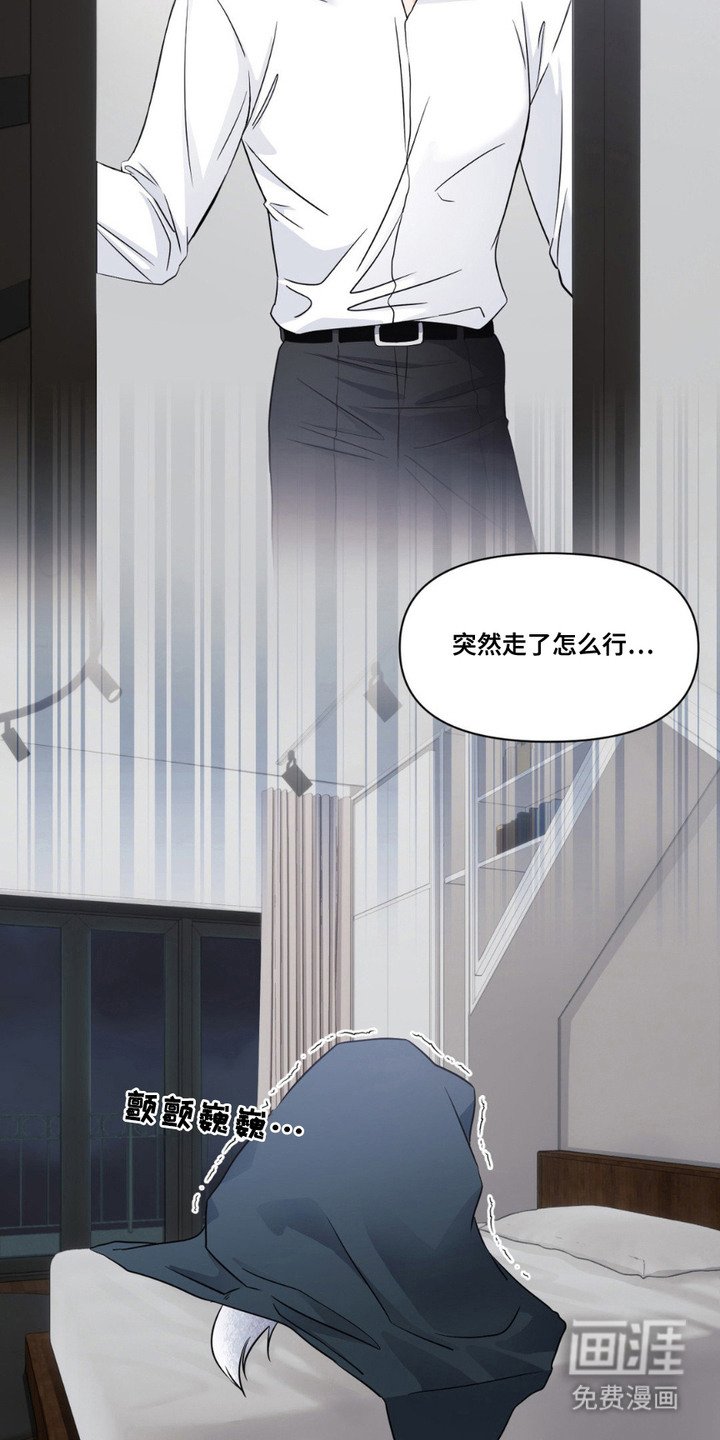 第11章：发热期
