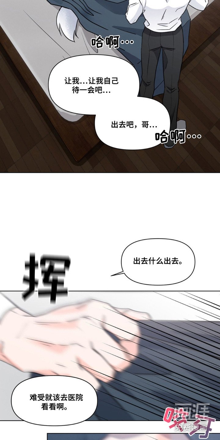 第11章：发热期