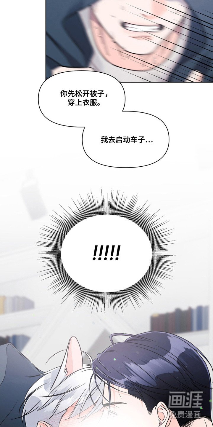 第11章：发热期