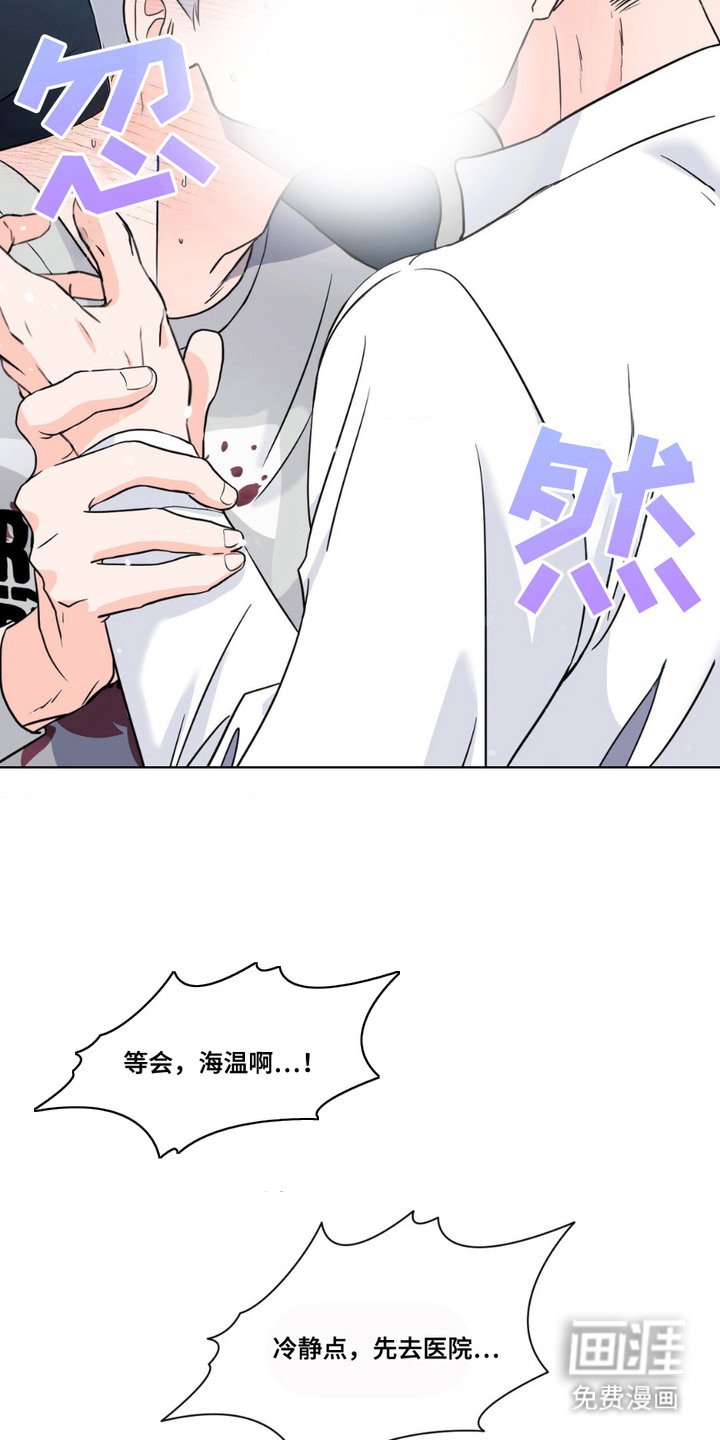 第11章：发热期