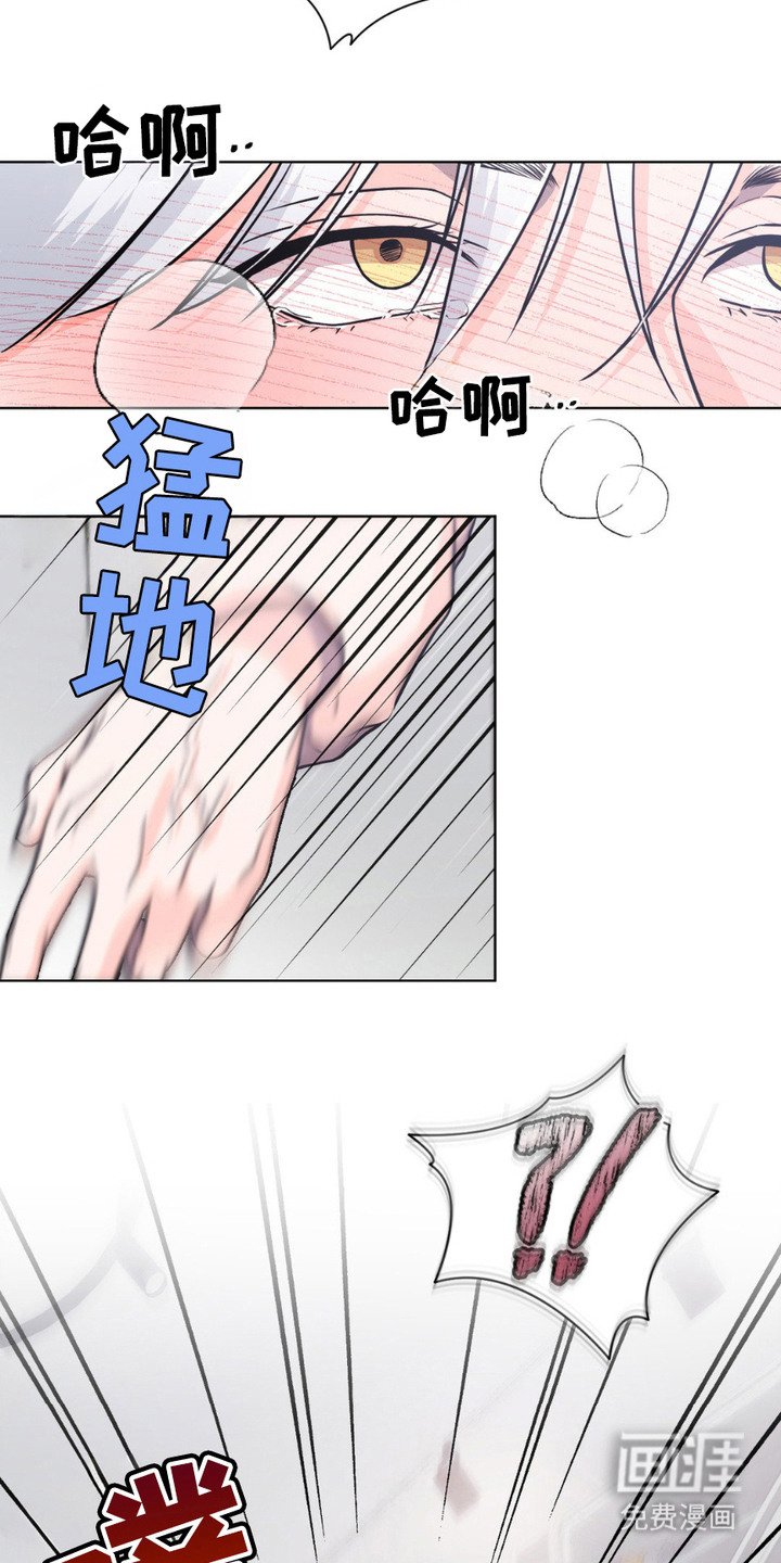 第11章：发热期