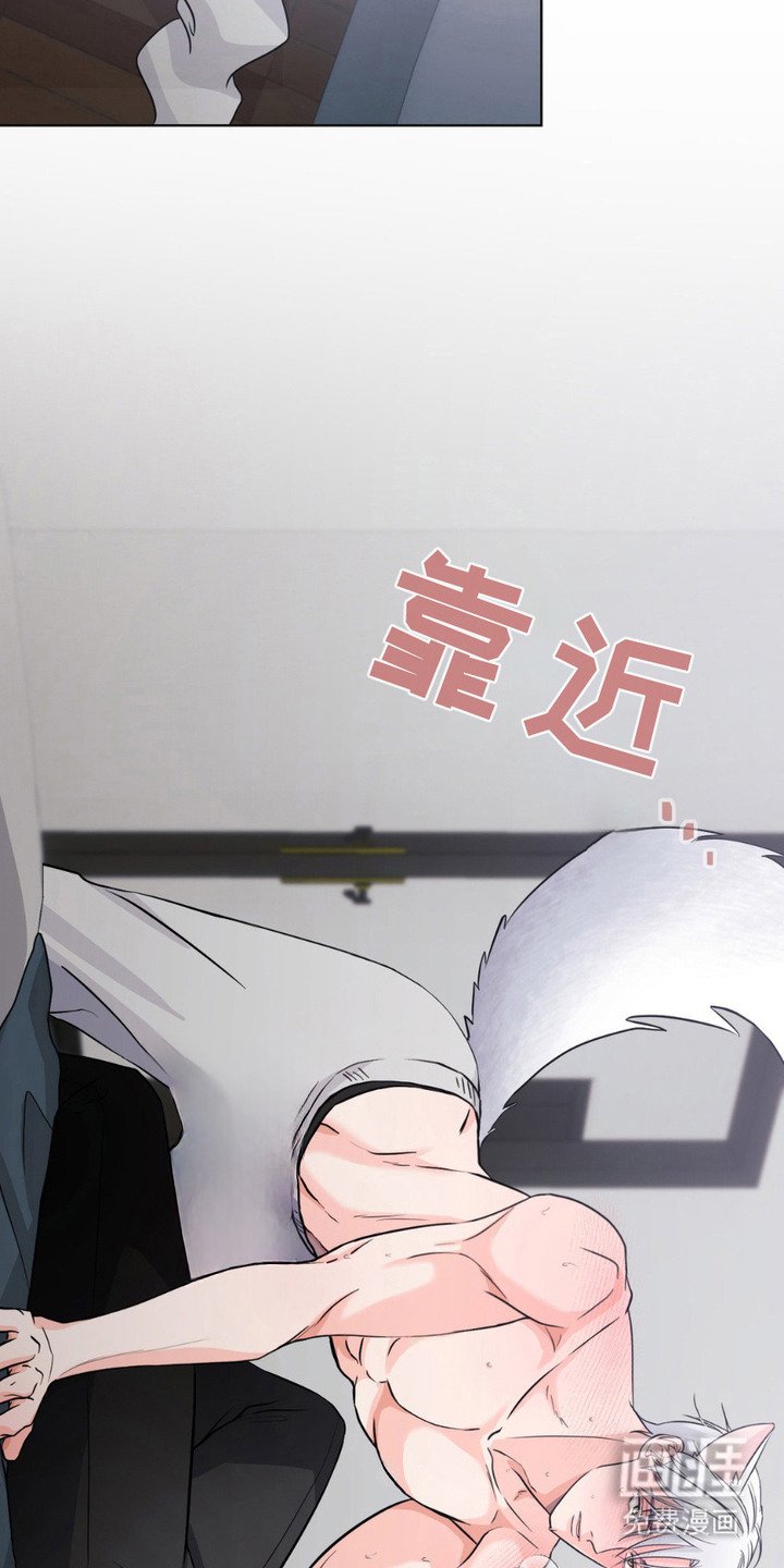 第11章：发热期
